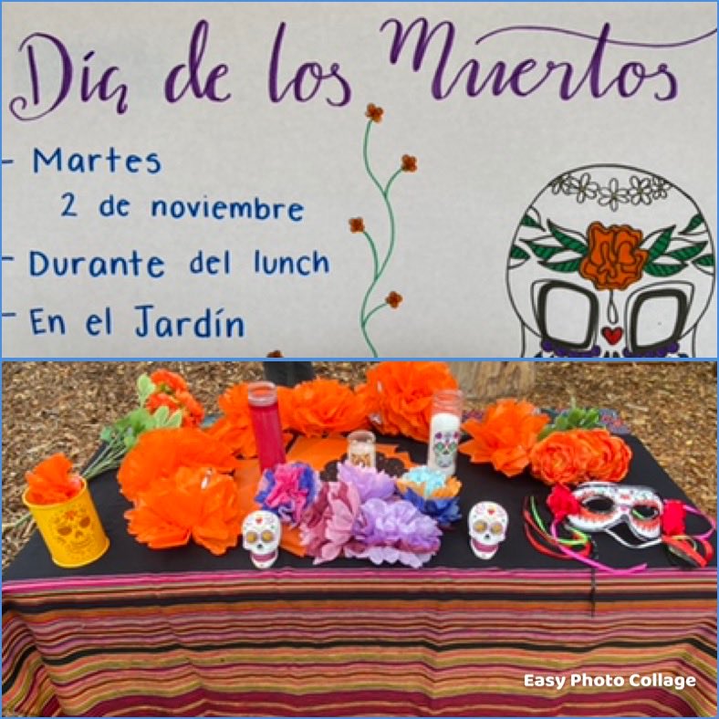 Vanessa Walling-Sisi tweet media