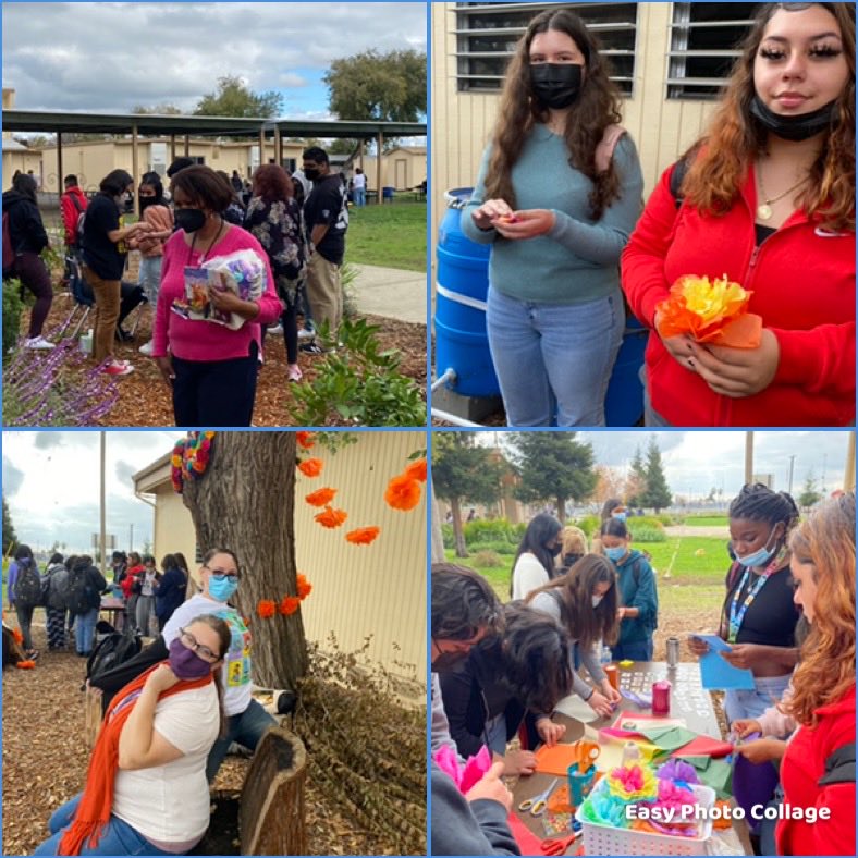 Vanessa Walling-Sisi tweet media