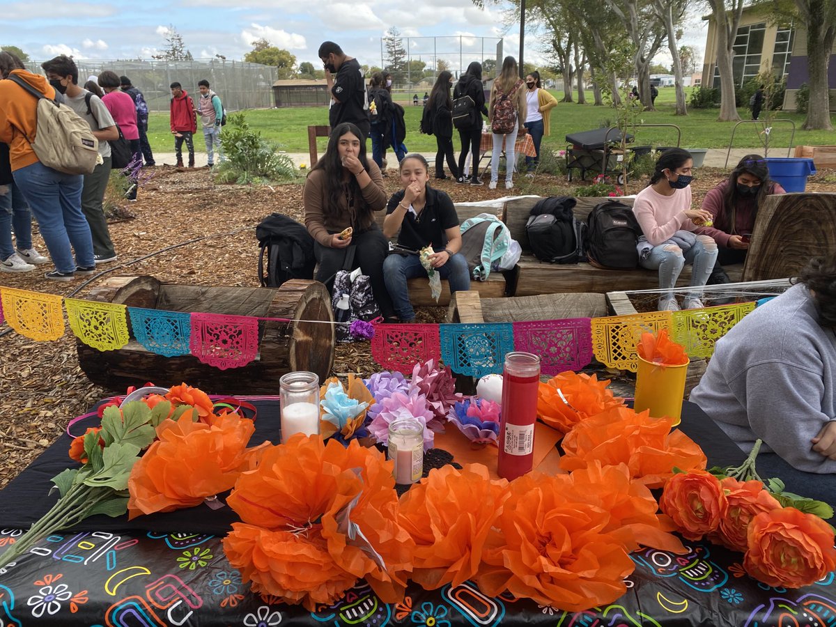 Vanessa Walling-Sisi tweet media