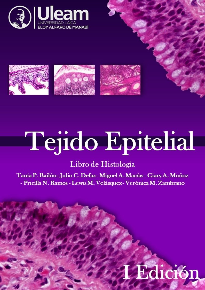Nyx_2503's tweet photo. Está listo! Tejido Epitelial esta publicado para quienes deseen investigar y aprender sobre el tema, con fines educativos y mucho esfuerzo hemos completado el libro. Esperamos que sea de su agrado 🤗📚🔬🧫👀 
#UleamEsAcademia 
@Anghelo77ac 
@UleamEcuador https://t.co/rr5yMMCMkn