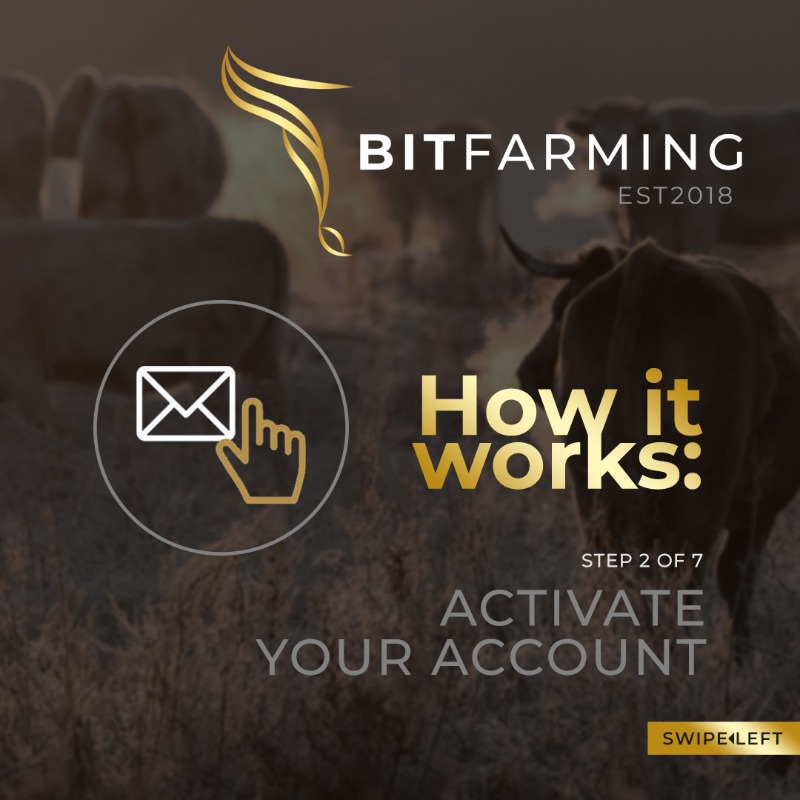 Bitfarming1's tweet photo. Introducing Bitfarming, a world-first concept that enable the man on the street to own livestock without owning a farm and earning profit from it. Buy, earn, Farm. #Bitfarming #onlinefarming #agritech #agriculture #livestock #farmingtechnology #farming #farmers #profits