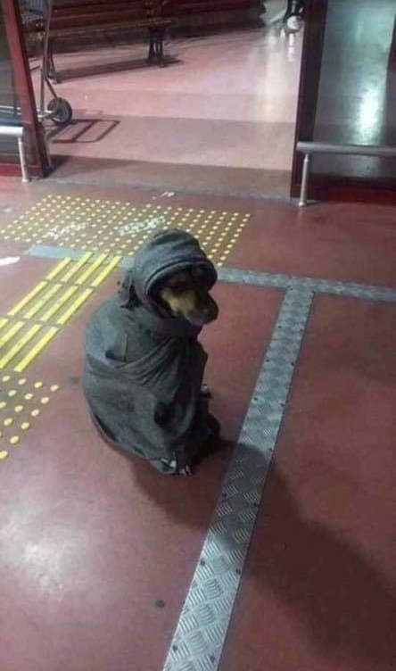 redditboi tweet media