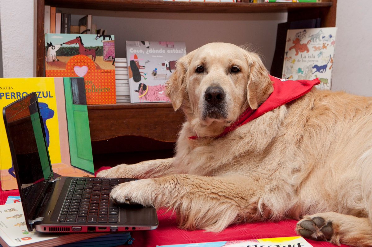 Haz un regalo diferente a los más peques: una #sesión de #lectura #online con uno de nuestros #perros. Contacta ahora en info@perrosyletras y reserva ya.
