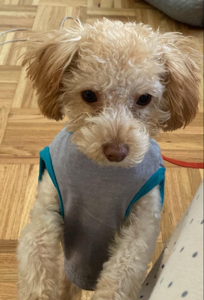 fmnrescue's tweet photo. Have you entered your best friend in our Calendar contest?Ten dollars to enter. One dollar a vote. Top winner gets the cover page.13 runner ups are awarded a month. https://t.co/gyxcYdgGHk. click Calendar contest. https://t.co/R4RXcaoWh4