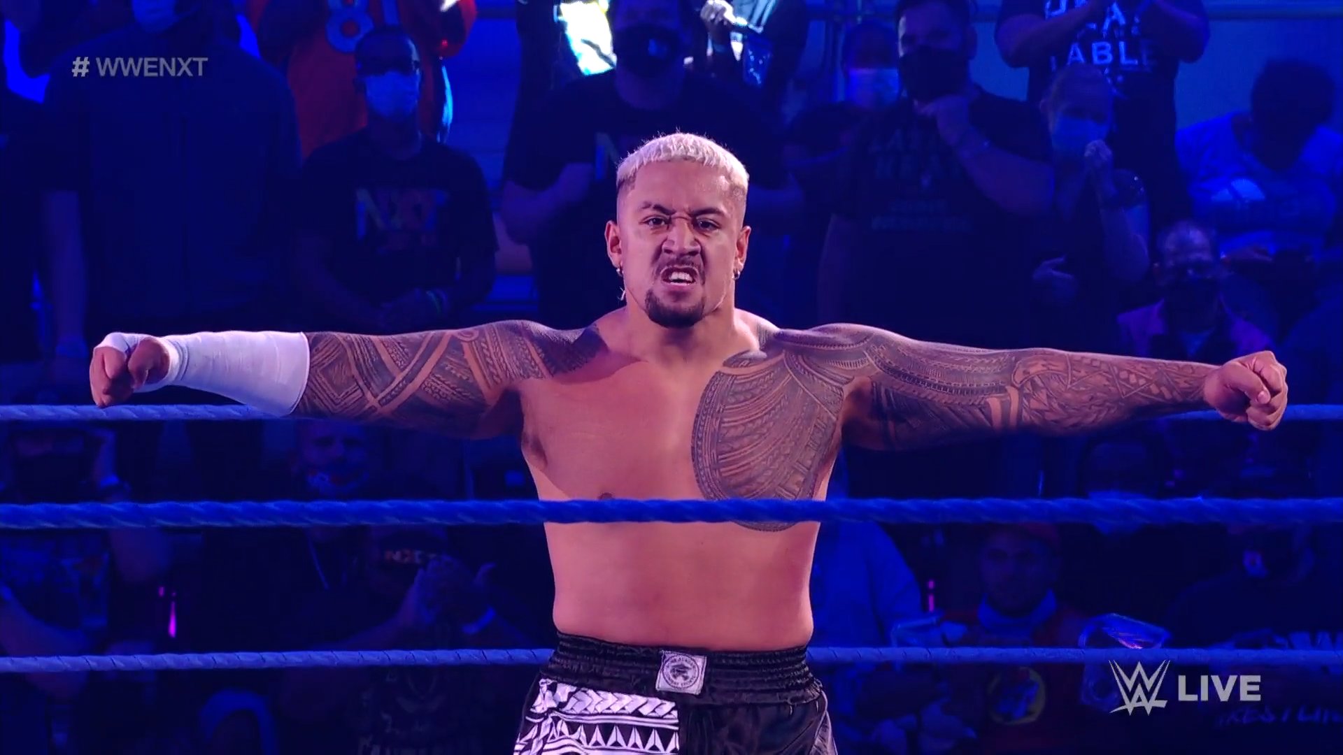 WWE NXT Results (02/11/21): Toxic Attraction; Tag Team Main Event 3