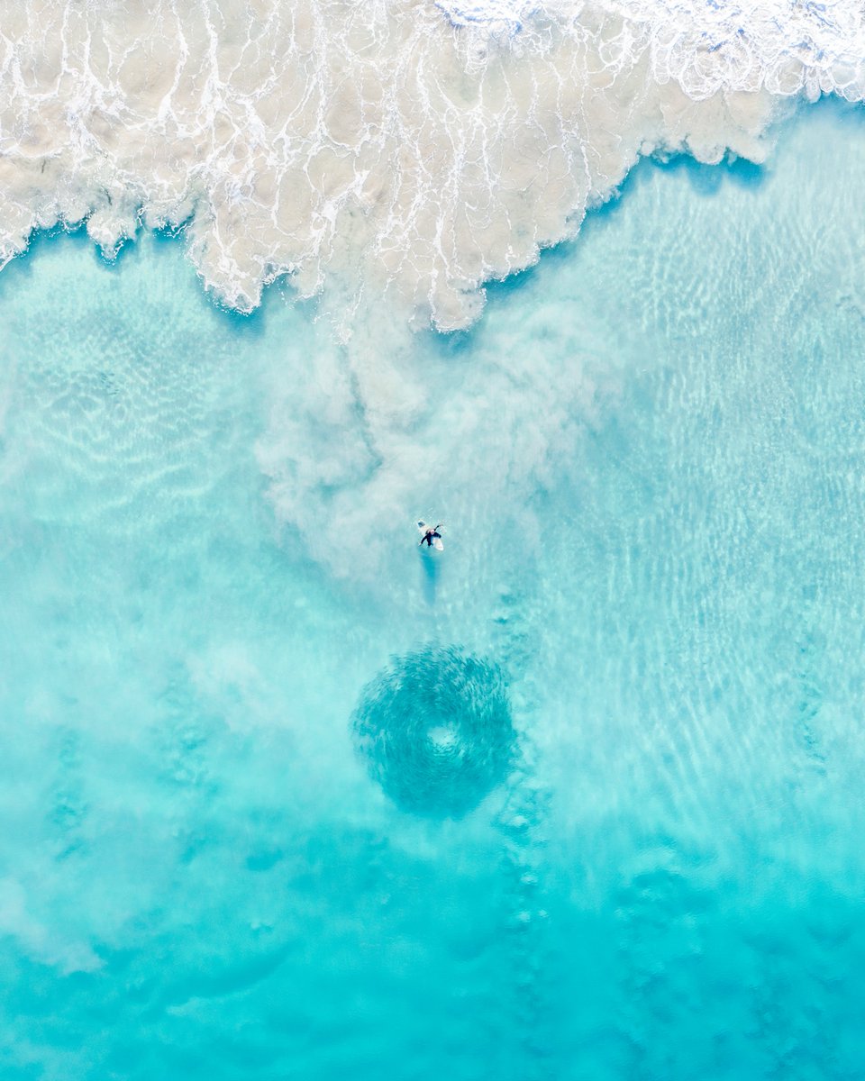 Ash Lark tweet media