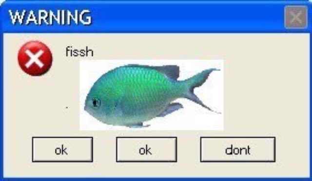 魚 tweet media