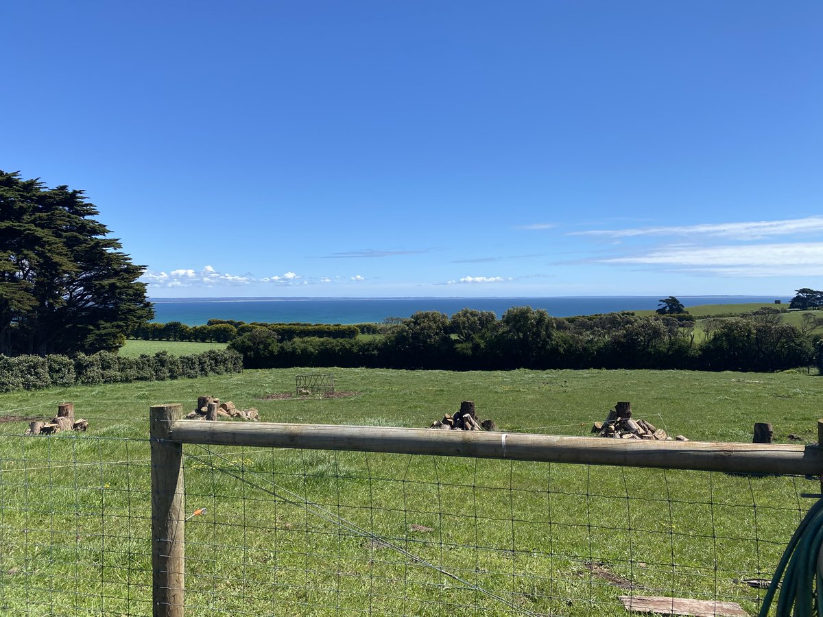 UMSeeds's tweet photo. It was great to catch up with Tassie growers at the recent @TasInAg #Legumes in #Beef Production Farm visit. The event was hosted by the Circular Head Beef Group, at Milton &amp; Gaylene De Jonge’s property “Four Winds” at Stanley. Thank you to all for organising a great day. #tasag https://t.co/XQRkAzDANJ