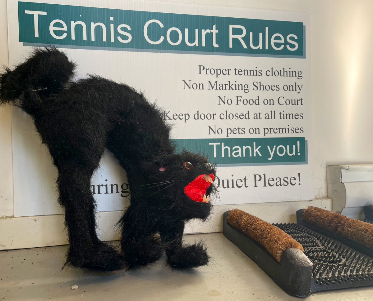 SSTA_Tennis's tweet photo. Hallowe'en Chunk-A-Punkin Poker Challenge held October 30. All zombies, witches &amp; superheroes had lots of fun on the indoor courts &amp; enjoyed the sunshine between matches. Thanks to all the organizers and volunteers who made the event possible! #spooky #Halloween #tennis #SSTA https://t.co/Qfsbfsw2ml