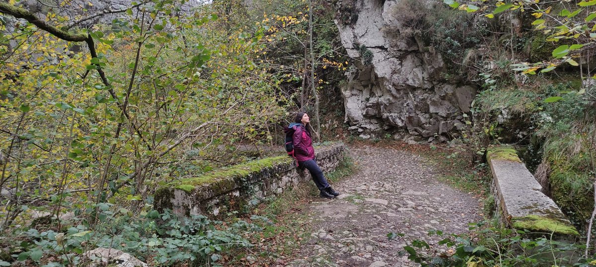 alimensal's tweet photo. Preciosa #RutaDelAlba en #SotoDeAgües.
Nos encantó aunque nos pilló un poco de lluvia, pero no pasa nada, ¡una aventura más! ☺️
Ahí estuvimos estrenando las camisetas de #PauDonés con su precioso mensaje:
#VivirEsUrgente 💪👏❤️
#Otoño
#Asturies https://t.co/soTbKKssAy