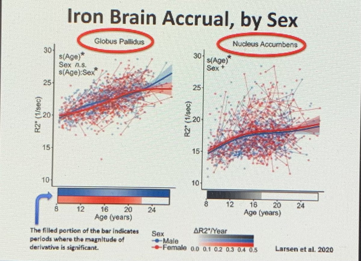GCC_TI's tweet photo. Our  @GCC_TI Translational Imaging Conference on Future Trends in Quantitative and Imaging is going strong with an excellent lecture by Dr. Chadi Calarge from @bcmhouston on Brain Iron in internalizing disorders of youth. Thank you, Dr. Calarge, for your contribution. #TI21 https://t.co/lGAZWBmVN2