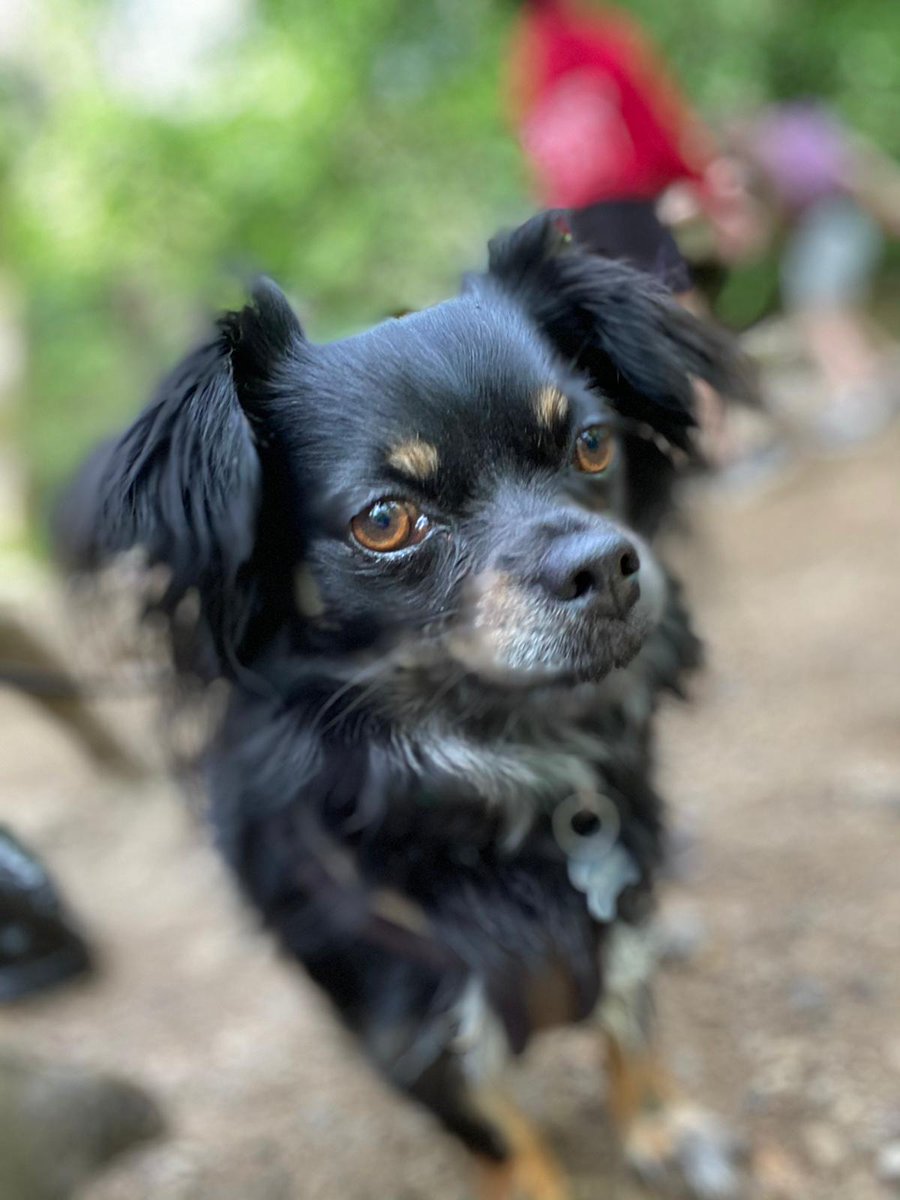 The most beautiful boy, curled up by my side 😍💙💙