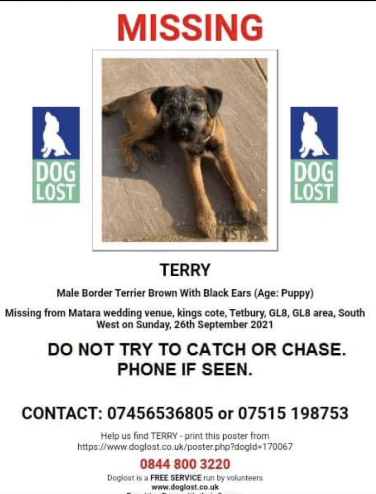 PetDirectorySe1's tweet photo. Let's help find Terry by sharing his posts and joining their campaign page.
TERRY Border Terrier LOST/STOLEN GL8/07456536805/07515 198753 #findterry https://t.co/ZqdEf92PHb