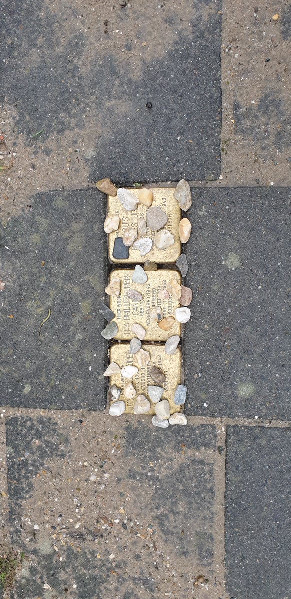 Vanaf vanmorgen herinneren deze kleine #stolpersteine voor Tuinstraat 78 in Zaandam aan het gezin Brilleslijper dat in 1942 uit deze woning in Zaandam werd uitgewezen naar Amsterdam en in 1943 werd gedeporteerd naar Sobibor waar ze werden vergast. Omdat ze Joods waren.