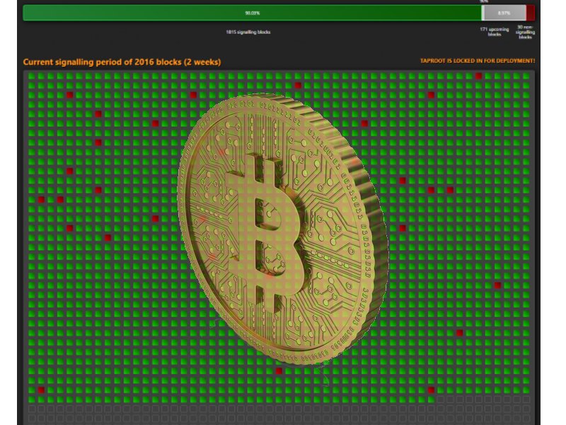 BitBoyPupil's tweet photo. #Bitcoin Taproot last 14 days.  ✅ https://t.co/Knnbki5Rcy