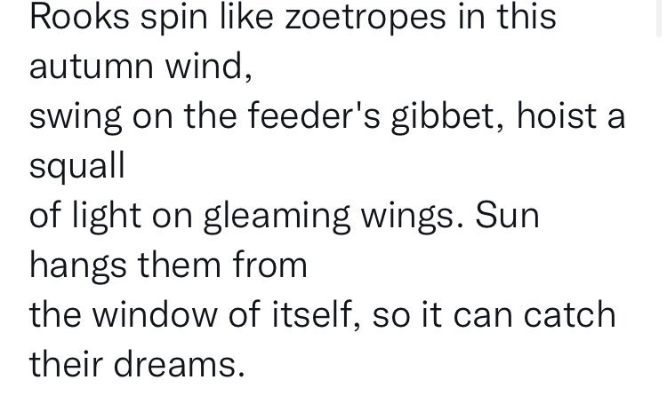 blackboughpoems's tweet photo. 🎉 In joint 1st 🥇 place in our #BBmicro2 #poetry #contest, West Wales-based poet Kathy Miles @Kathym974 with an utterly compelling #micropoem 💎 🎈
Kathy’s won the @BridportPrize & @PENfroBookFest prize and is widely published, recently with ‘Bone House’ @IndigoDreamsPub 🎊 🏴 https://t.co/lILSzSkWZ4