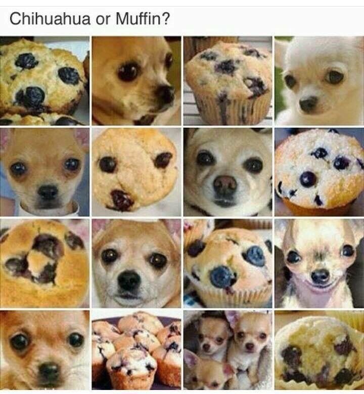 WholesomeMeme's tweet photo. https://t.co/7xAhL59tns