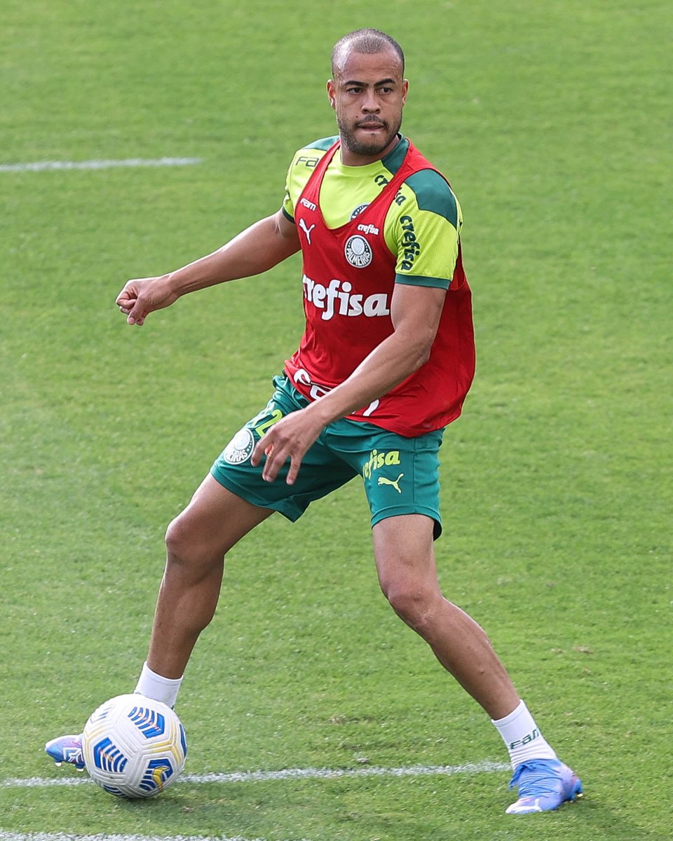 SE Palmeiras tweet media