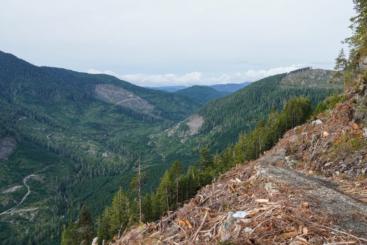 Without our forests we will be dragged well beyond a 2 C world let alone a 1.5 C world in a matter of years if emissions keep on rising
We need to end deforestation now not in 10 years and end fossil fuels in 2025 not in 2050 to have any chance of avoiding worst of climate change