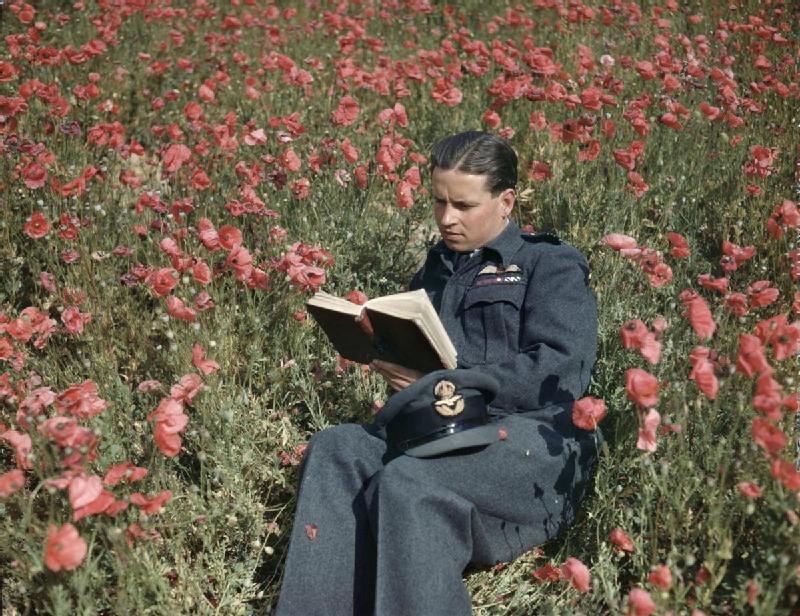 Читает армейская. Чтение о войне. Солдат с книгой. Книжка солдата. Солдат с цветами.