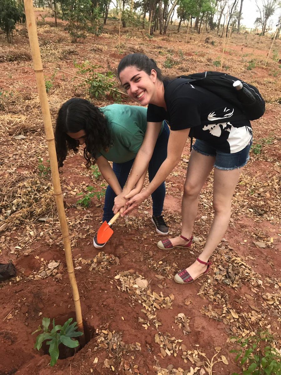 icfjss's tweet photo. plantando uma arvrinha https://t.co/AbD3IcQopP