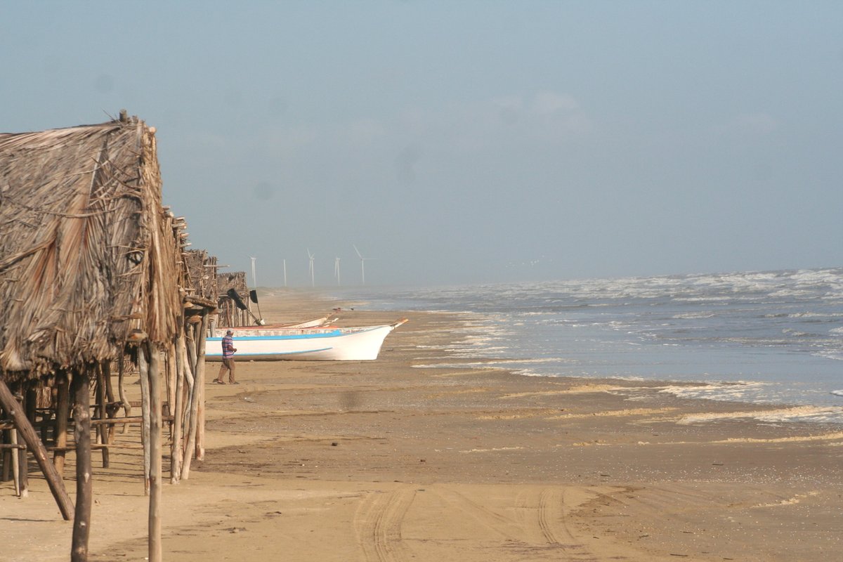 PlayeritosVenezuela tweet media