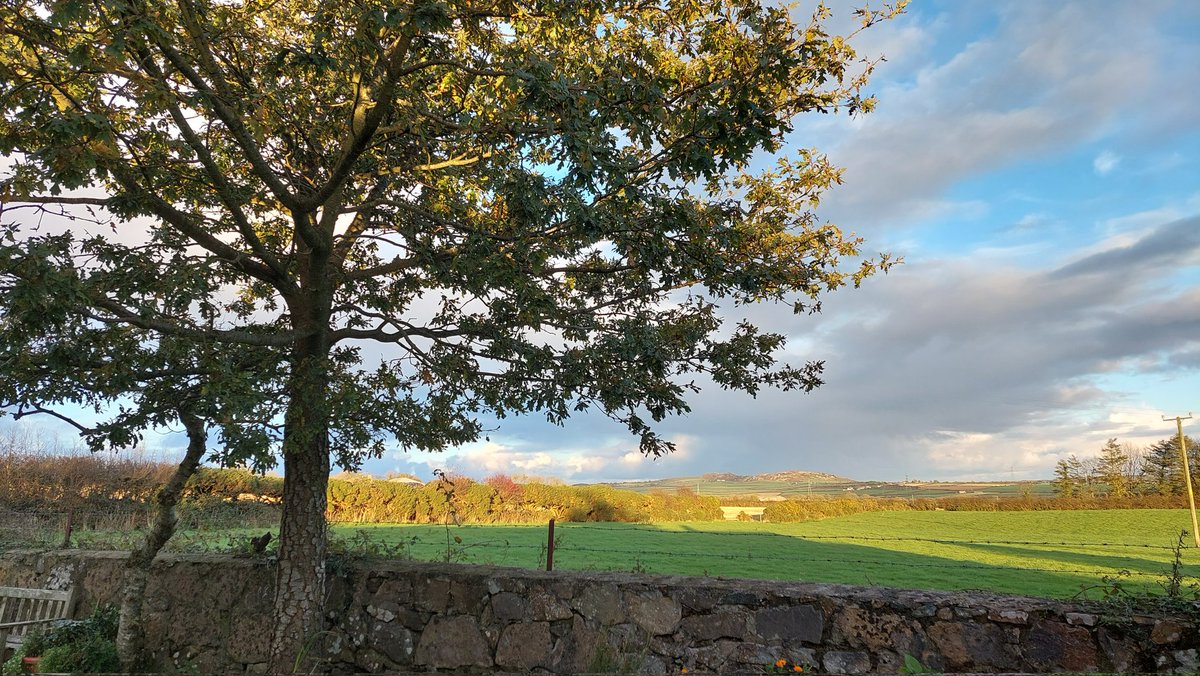 keir54's tweet photo. Mynydd Bodafon this afternoon !! Huge dark grey clouds tobrhe left created this wonderful light effect !! #sun #autumncolours #views #Cymru #Môn #home @jennymethven1 @ManonJP_  # https://t.co/Df1W0GCynO