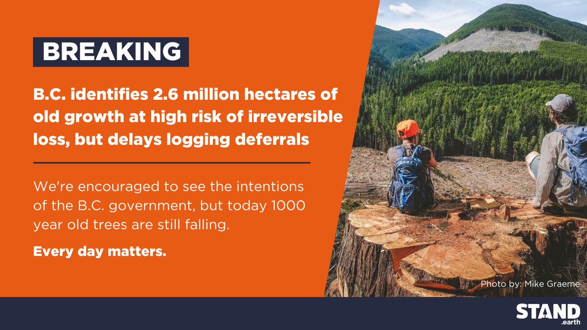BREAKING: B.C. identifies 2.6 million hectares of old growth at high risk of irreversible loss, but delays logging deferrals. After Canada makes a pledge to protect forests at #COP26, B.C. has an opportunity to deliver on promised action on old growth #bcpoli
