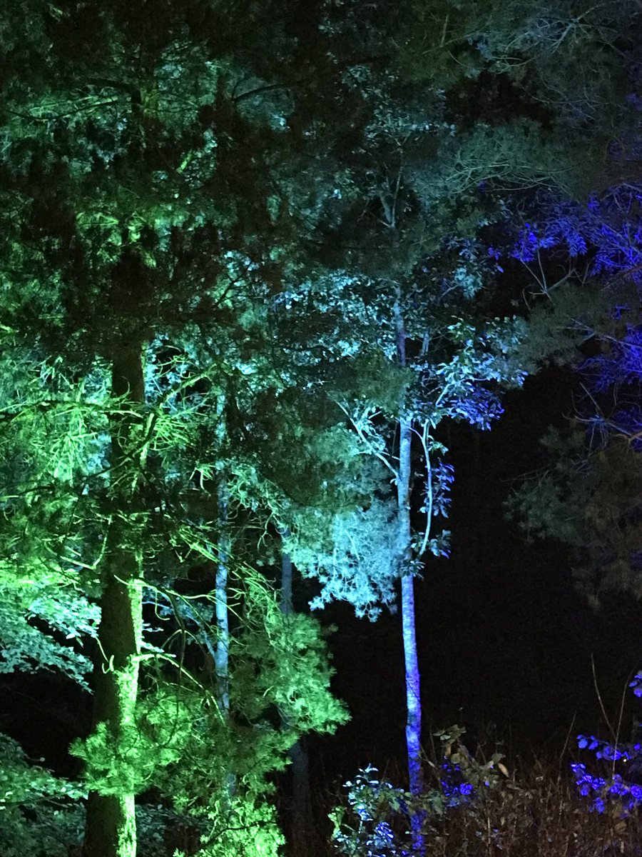 marktimmins's tweet photo. @BordersBookFest great first day… #MagicalTrees @AbbotsfordScott https://t.co/oAtb8QDtJj