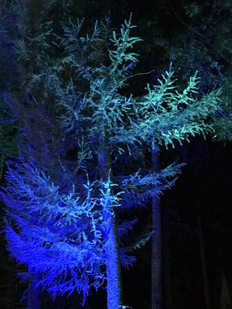 marktimmins's tweet photo. @BordersBookFest great first day… #MagicalTrees @AbbotsfordScott https://t.co/oAtb8QDtJj