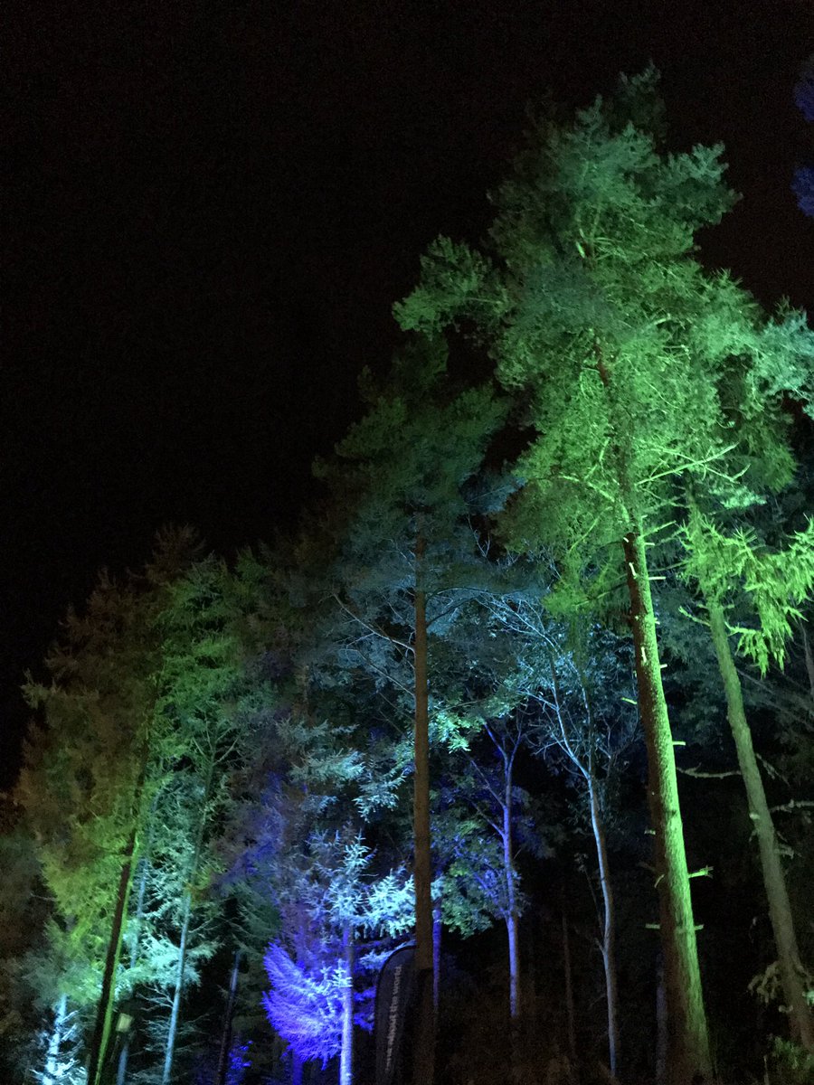 marktimmins's tweet photo. @BordersBookFest great first day… #MagicalTrees @AbbotsfordScott https://t.co/oAtb8QDtJj