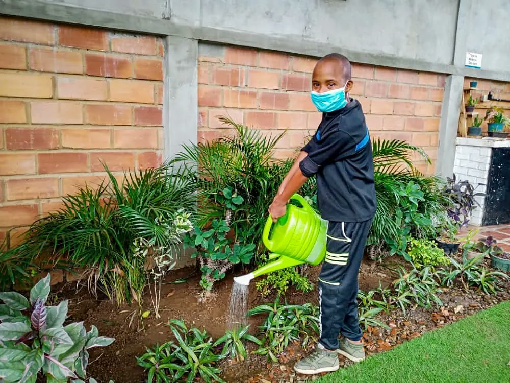 funda_renace's tweet photo. En el marco del Día Mundial de la Ecología, celebrado el día de ayer, se dio una charla a los niños y niñas del Taller de jardinería de FundaRenace, sobre la importancia de conocer y valorar las relaciones entre los seres vivos y su medio. https://t.co/upclWIicQe