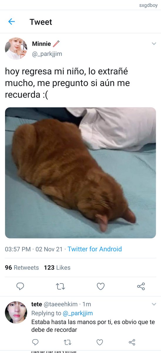 miau; aus tweet media
