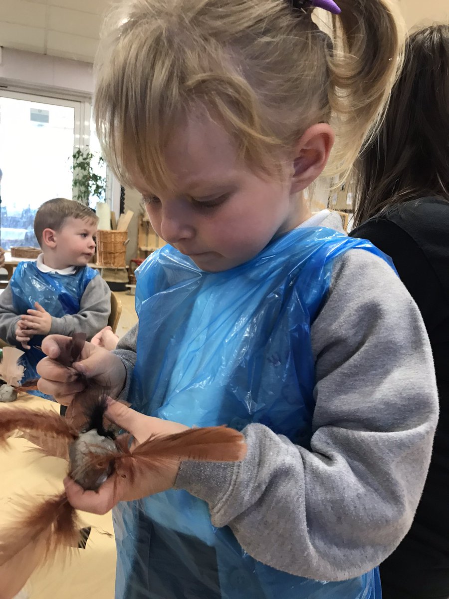 Mrs Fletcher Wayfield Primary School 2 Year Olds tweet media