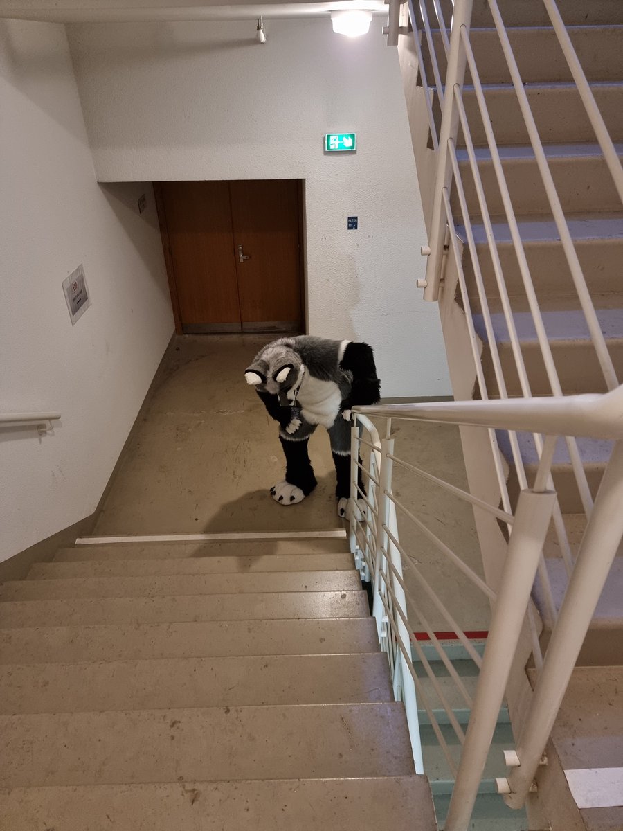hyrofoxa's tweet photo. when the elevator is broken... #FBL #elevatordead

📸 by @nekopitou https://t.co/YpKRkxPyzT