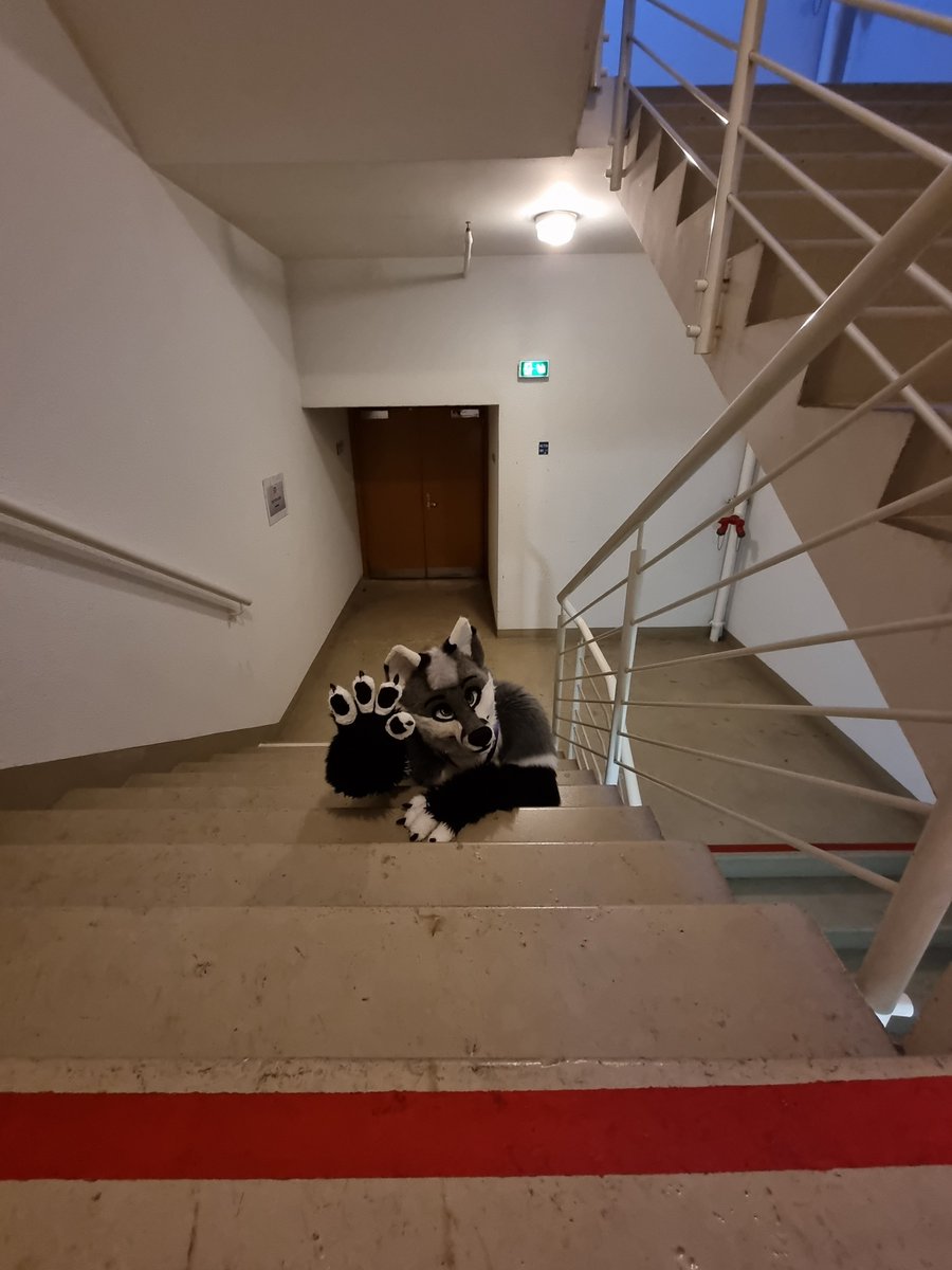 hyrofoxa's tweet photo. when the elevator is broken... #FBL #elevatordead

📸 by @nekopitou https://t.co/YpKRkxPyzT