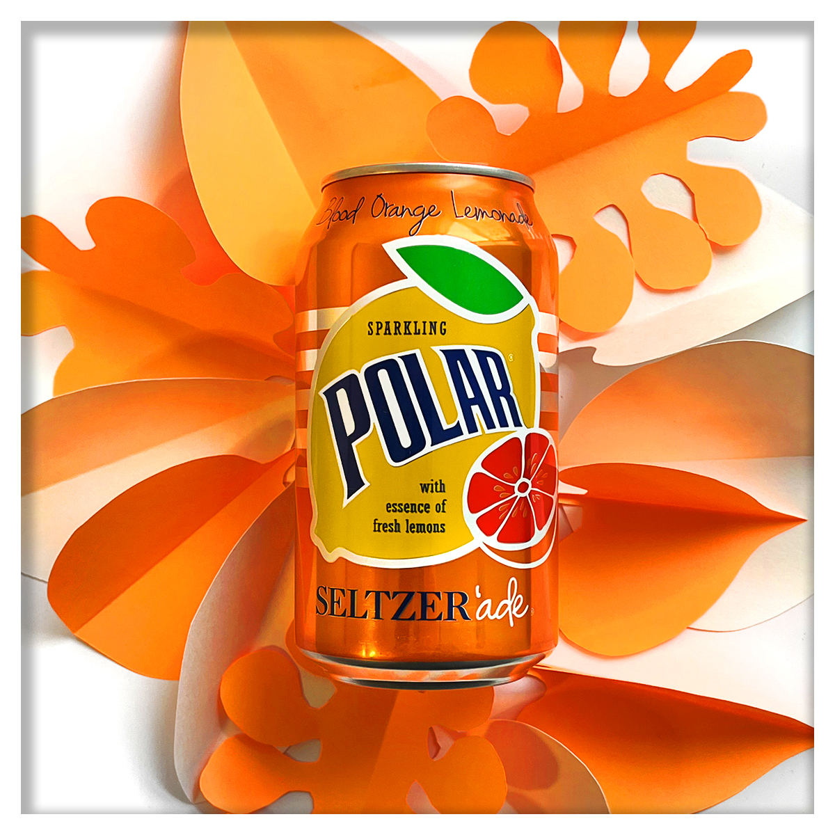 November vibes 🍁  There really is a lemonade seltzer for every season, and none of them involve pumpkin #SparklingWater #seltzerade #November #Yum