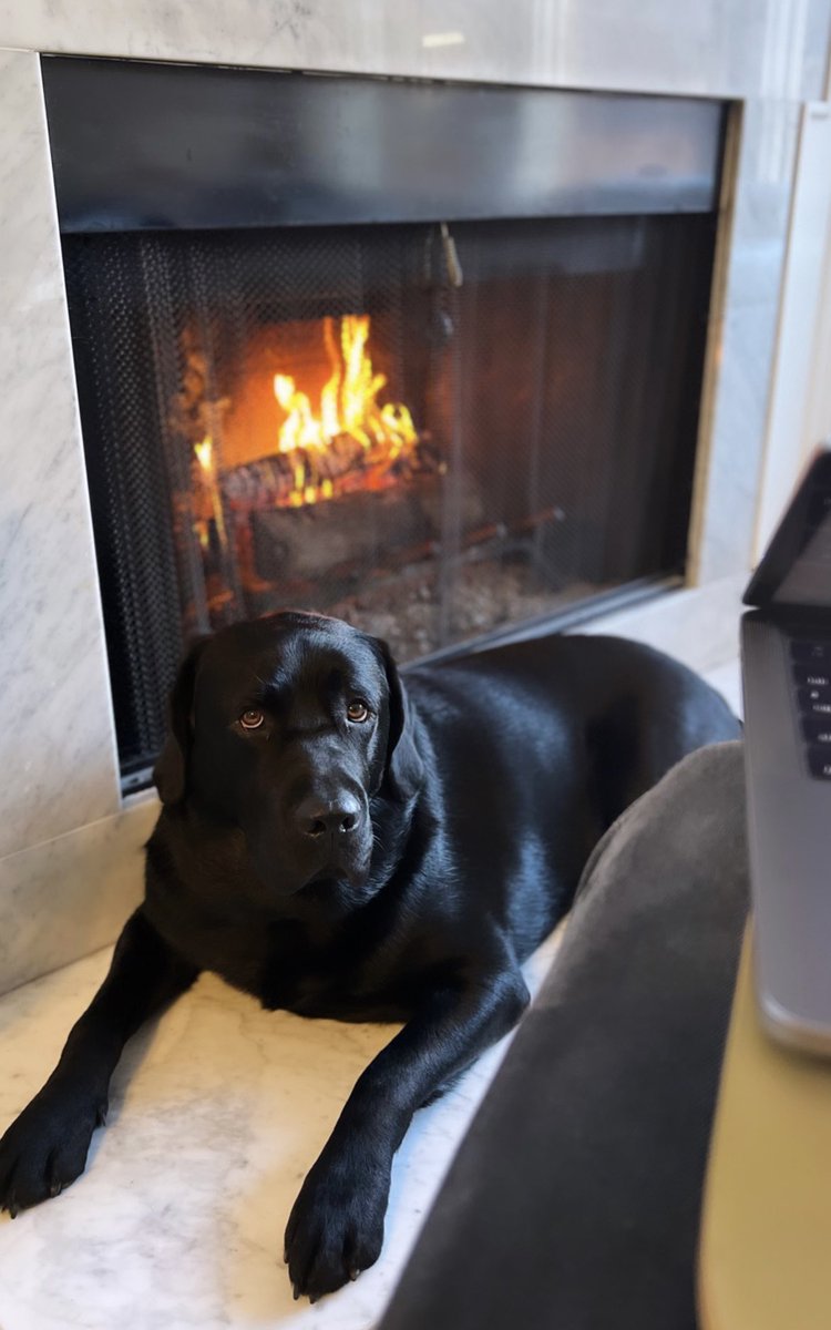 Blessing our neighborhood with smokey fall smells 🍂