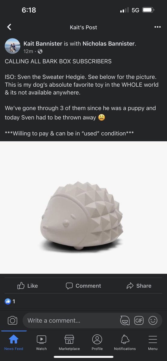 RyBean8's tweet photo. @barkbox HELP https://t.co/msDCb3hcoA