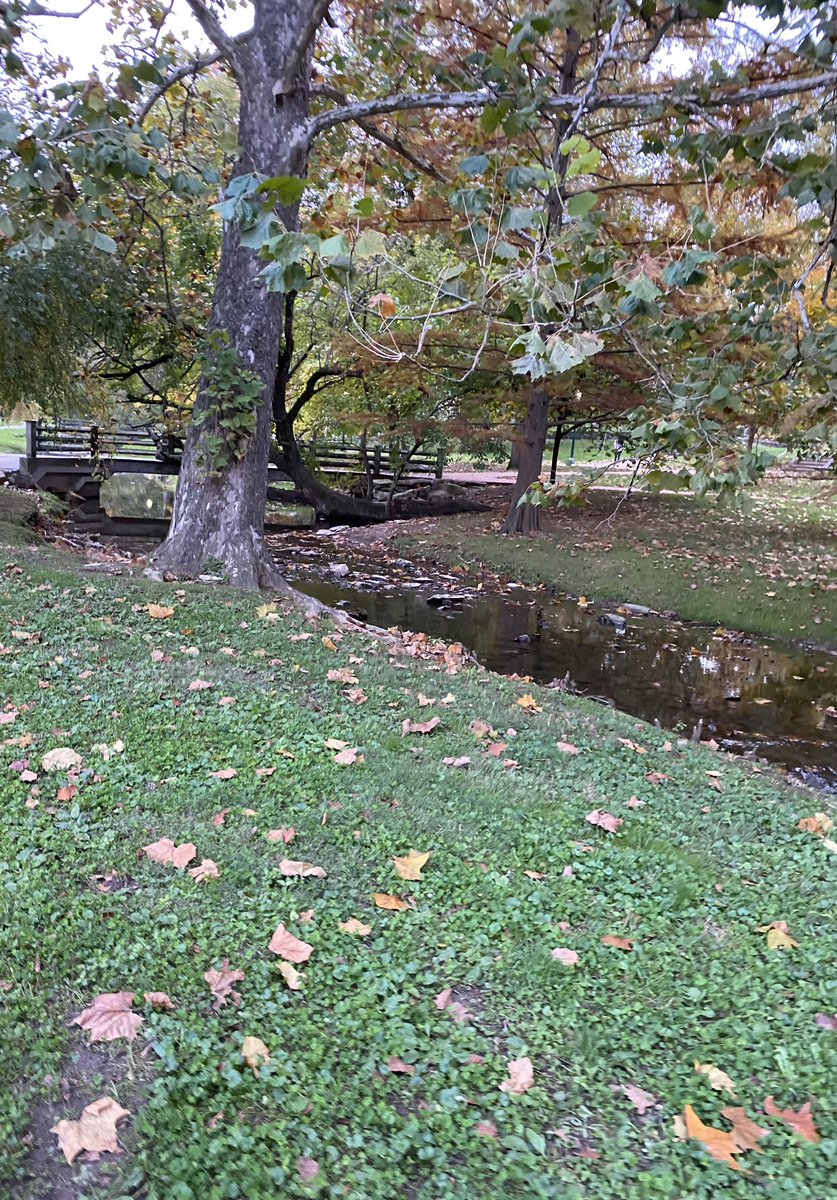 lanawilli7's tweet photo. IU college visit and tour. It was beautiful and we loved it! ❤️#gohoosiers #thenol https://t.co/BMZfYlvJGa