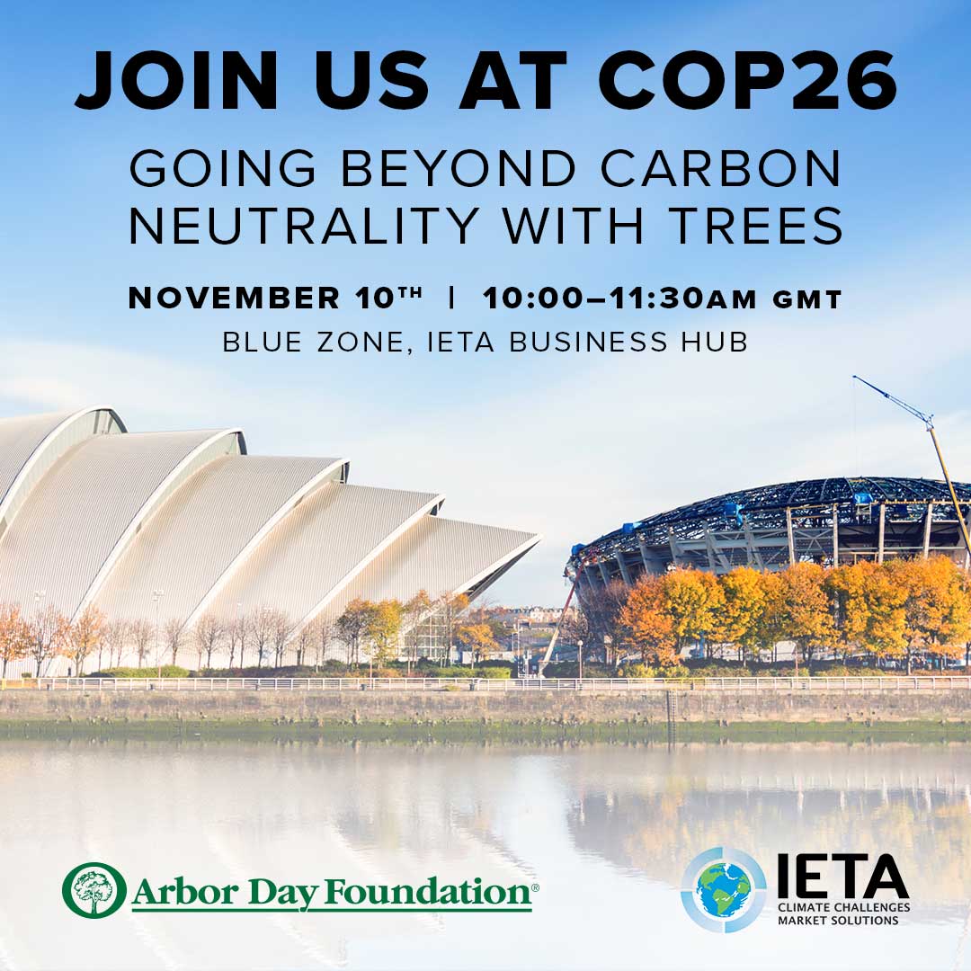 JeremyManion's tweet image. Join @arborday, @NatCap_Partners, @MarsGlobal, @LandLifeCompany, @USAID, @IETA at #COP26 for an expert discussion &amp;amp; lessons learned about pathways to net-zero &amp;amp; beyond with #forests to benefit #climate, #livelihoods, &amp;amp; #biodiversity now. More details here: eventbrite.com/e/going-beyond…