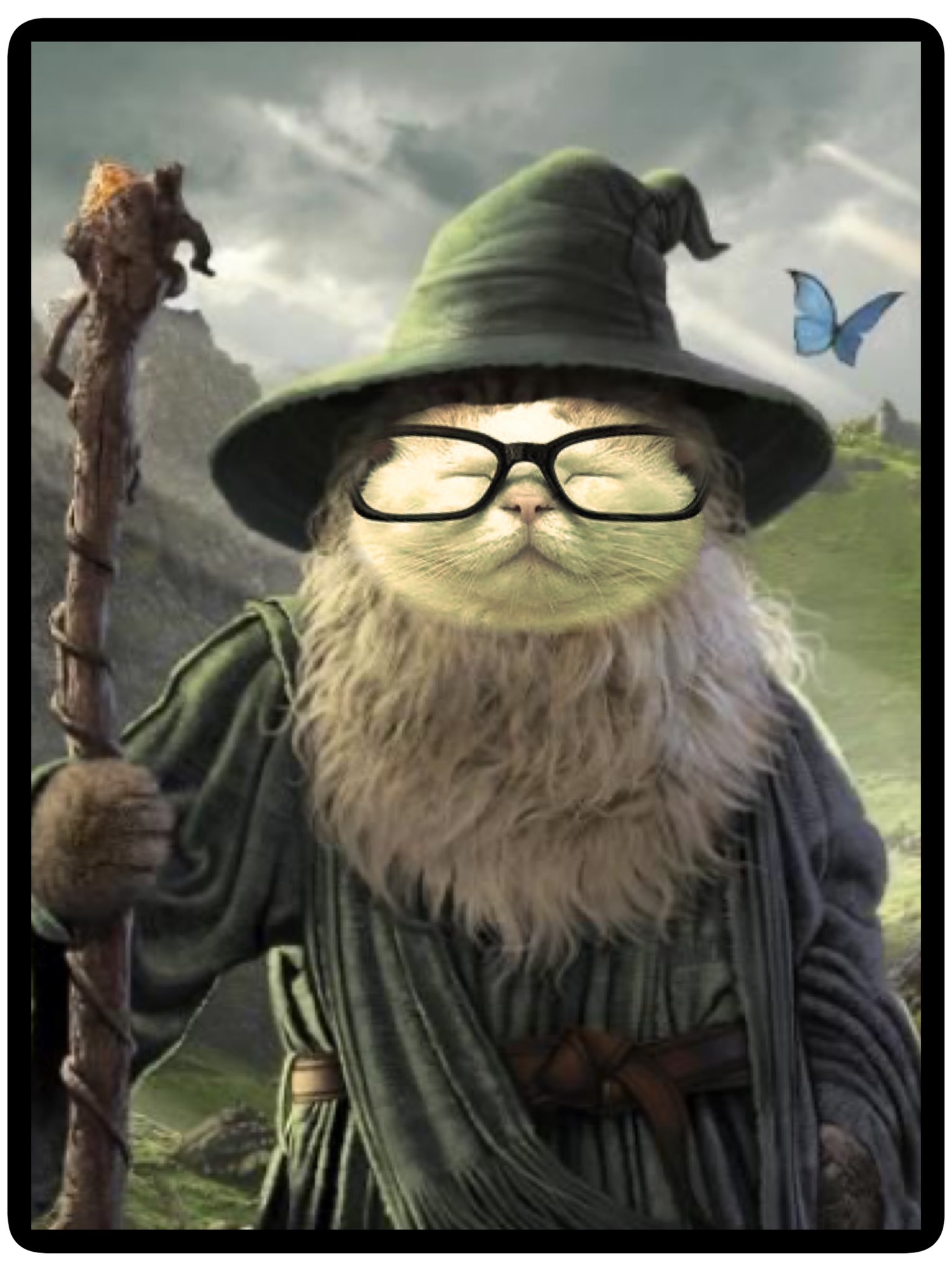 Catturd'S Cryptic Tweet Has Everyone Guessing! - zvqxn2i