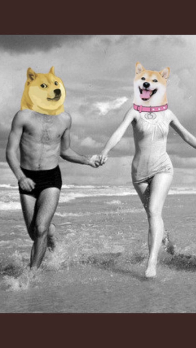 DigexC's tweet photo. @XRP_SAFEMOON @dogegftoken #DogeGF has a boyfriend. #Doge #dogelonmars #altcoin #BullrunGFs #ETH #XRP #XRdoge #shiba https://t.co/kNuYzGTfPG