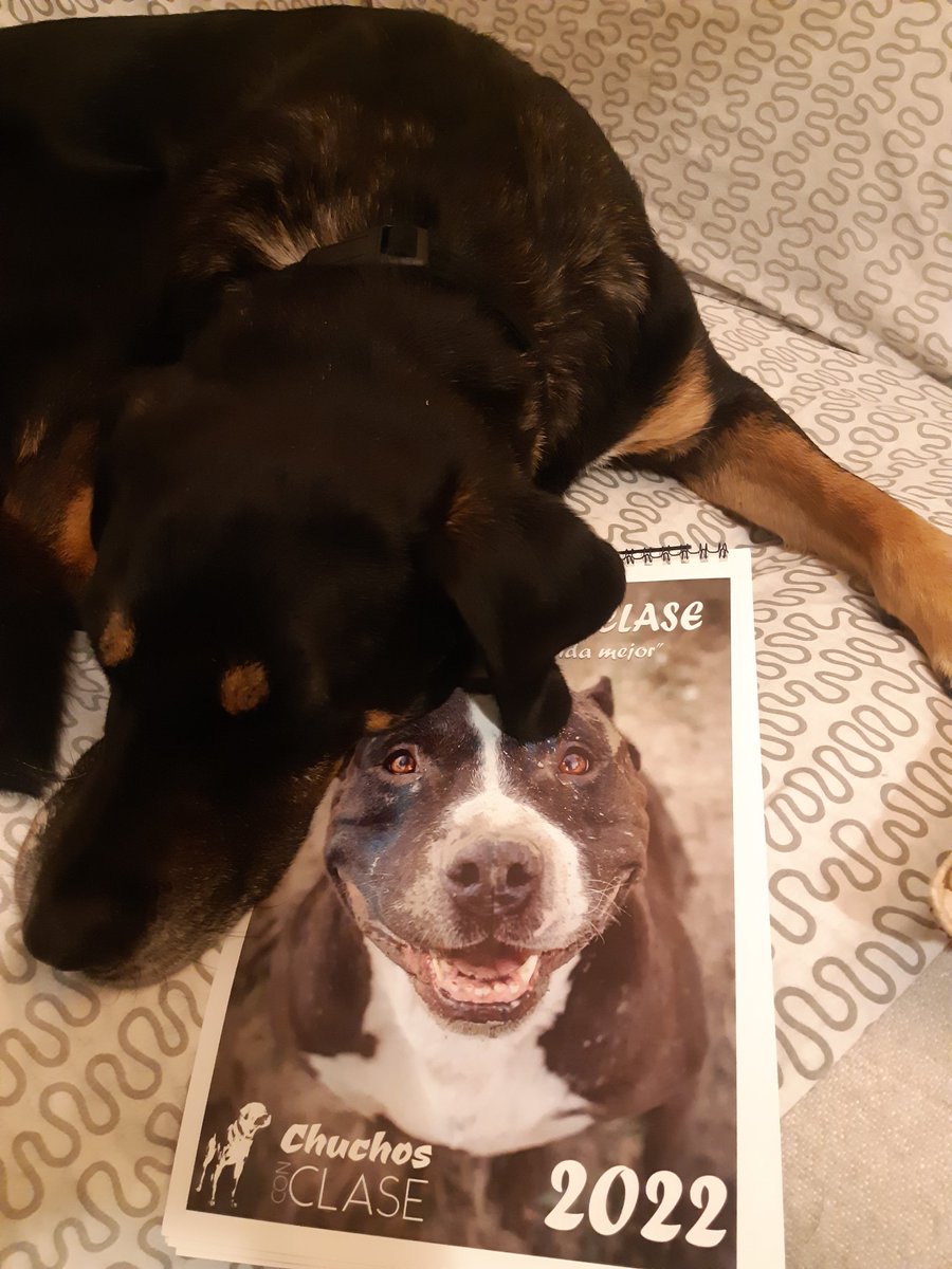 Lidia del Pozo tweet media