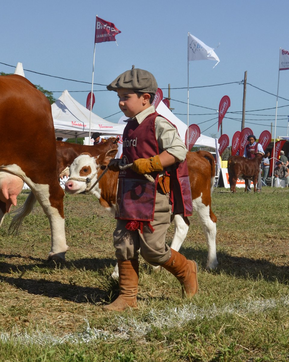 canal_ganadero's tweet photo. #MartesdeTerneros 🐮

El mejor presentador de Cabaña San Carlos haciendo su trabajo en la Nacional de Razas 2021 💪

#campo #campoargentino #nacionalderazas #braford #ternero #ternerobraford #arrear #ganaderia #ganadero #ganado #bovinos https://t.co/AP3IGgGF3o
