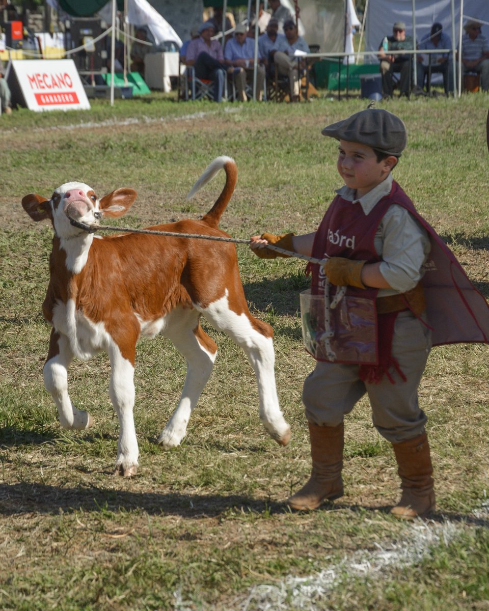 canal_ganadero's tweet photo. #MartesdeTerneros 🐮

El mejor presentador de Cabaña San Carlos haciendo su trabajo en la Nacional de Razas 2021 💪

#campo #campoargentino #nacionalderazas #braford #ternero #ternerobraford #arrear #ganaderia #ganadero #ganado #bovinos https://t.co/AP3IGgGF3o
