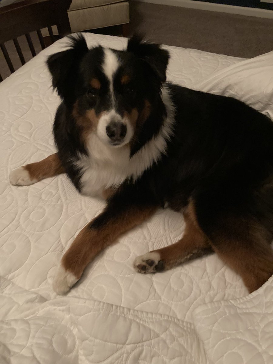 Kim Pegula tweet media