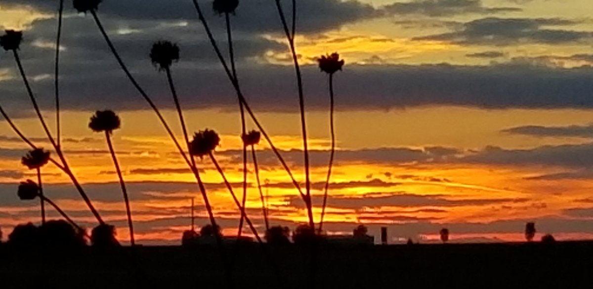 Good night, #BloNo. Grab an extra blanket. <a href="/NWSLincolnIL/">NWS Lincoln IL</a> is forecasting a low of 28 degrees.
