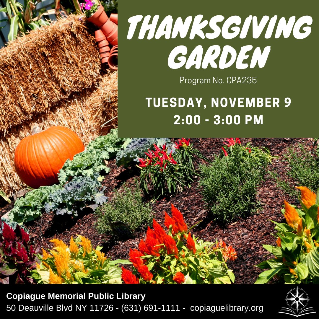 CopiagueLibrary's tweet image. Learn the best techniques for a beautiful Thanksgiving garden.  Learn about late plants such as mums, pansies and ornamental cabbage and planting tips. Register: bit.ly/ThanksGarden
#CopiagueLibrary #Gardening #InPersonPrograms #PaulLevine