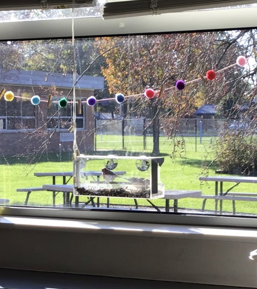 warrenfirst1's tweet photo. We had two tiny visitors today and we were finally able to snap a photo without scaring them away! 😍
#thisislcsc #birdwatching 
#thirdgrade 
@LcscSuper @Lebanon_Schools https://t.co/l1EVXLFjPq